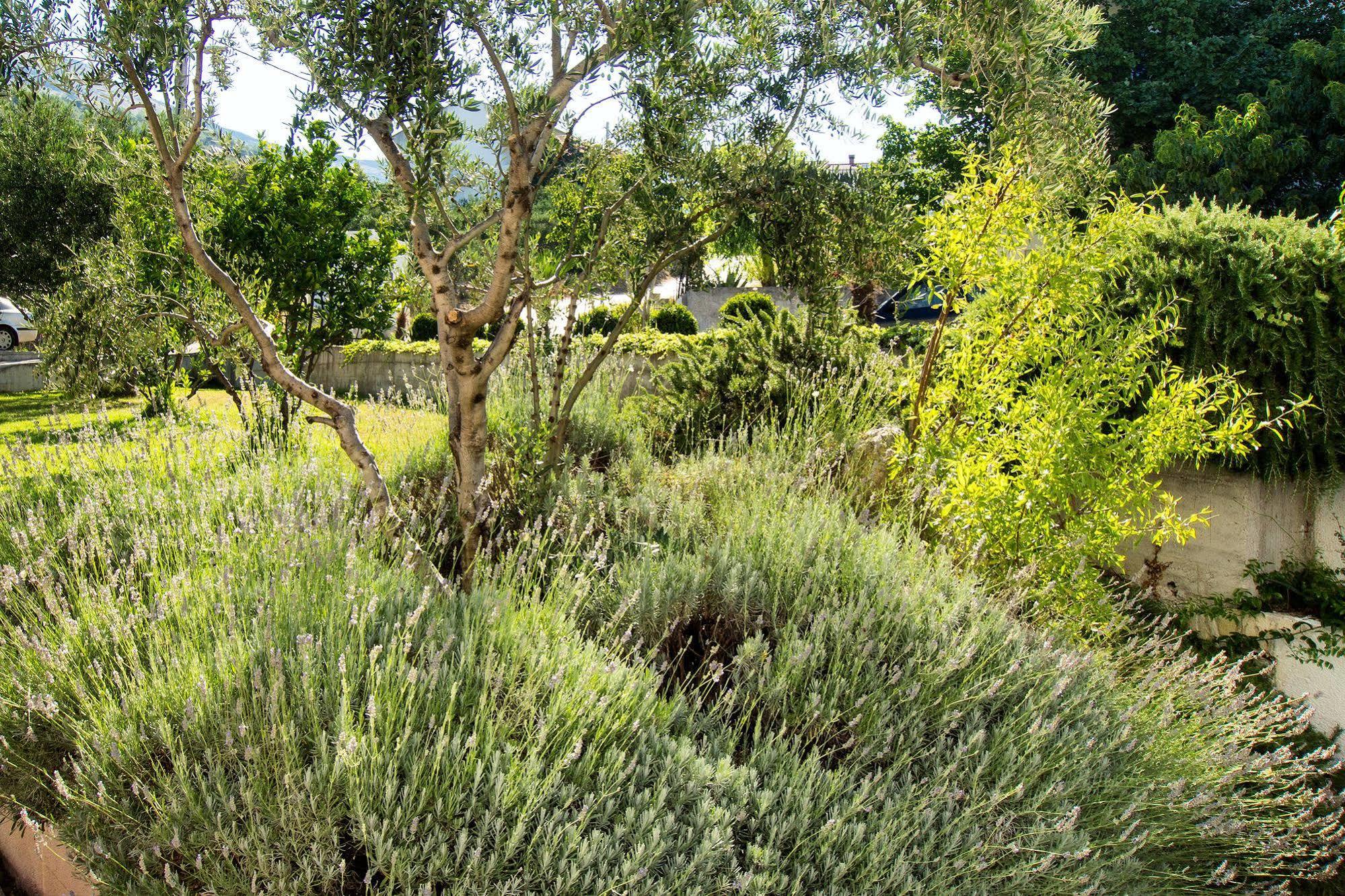 Villa Lavanda Podstrana Ngoại thất bức ảnh