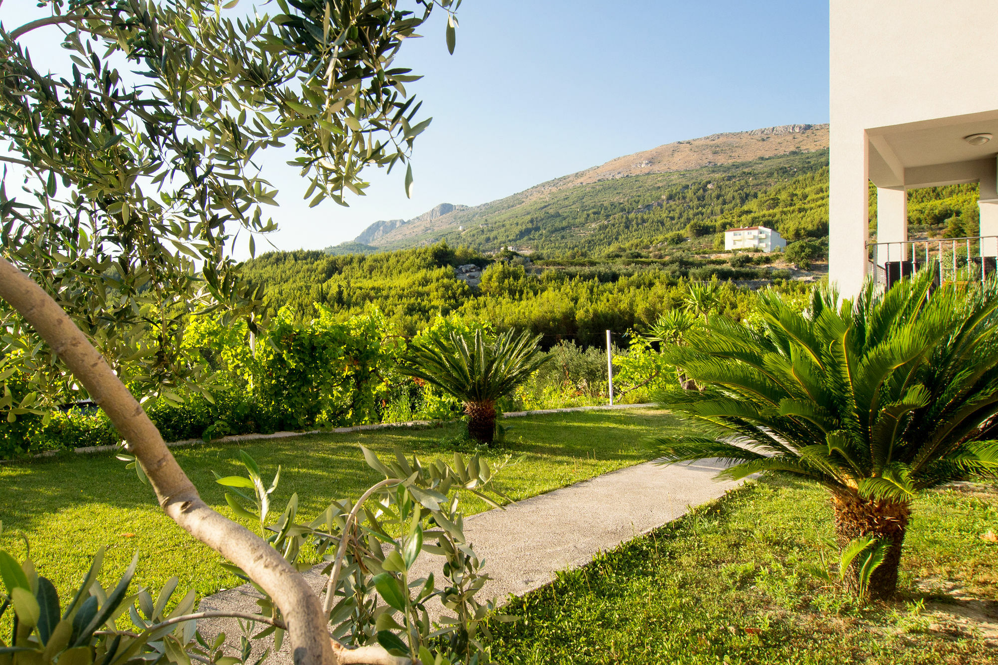 Villa Lavanda Podstrana Ngoại thất bức ảnh